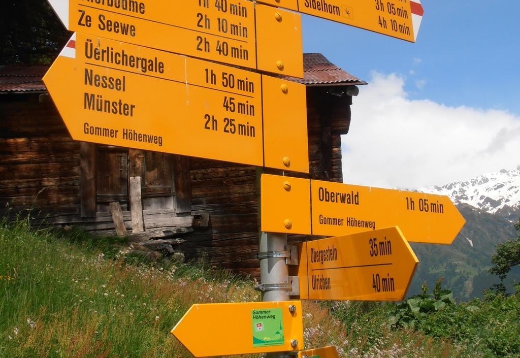Hotel Grimsel Obergesteln ภายนอก รูปภาพ
