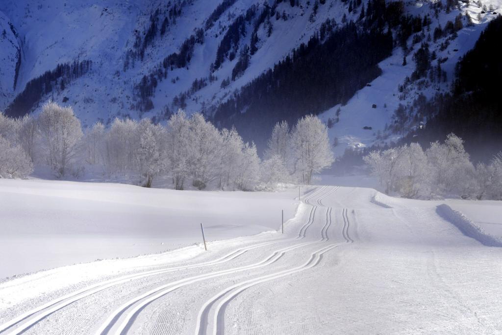 Hotel Grimsel Obergesteln ภายนอก รูปภาพ
